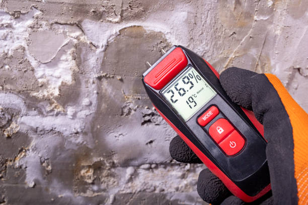 Best Black Mold Remediation in Poseyville, IN
